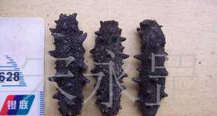 长岛海参供应与价格解析 厂家资源与银联安全保障